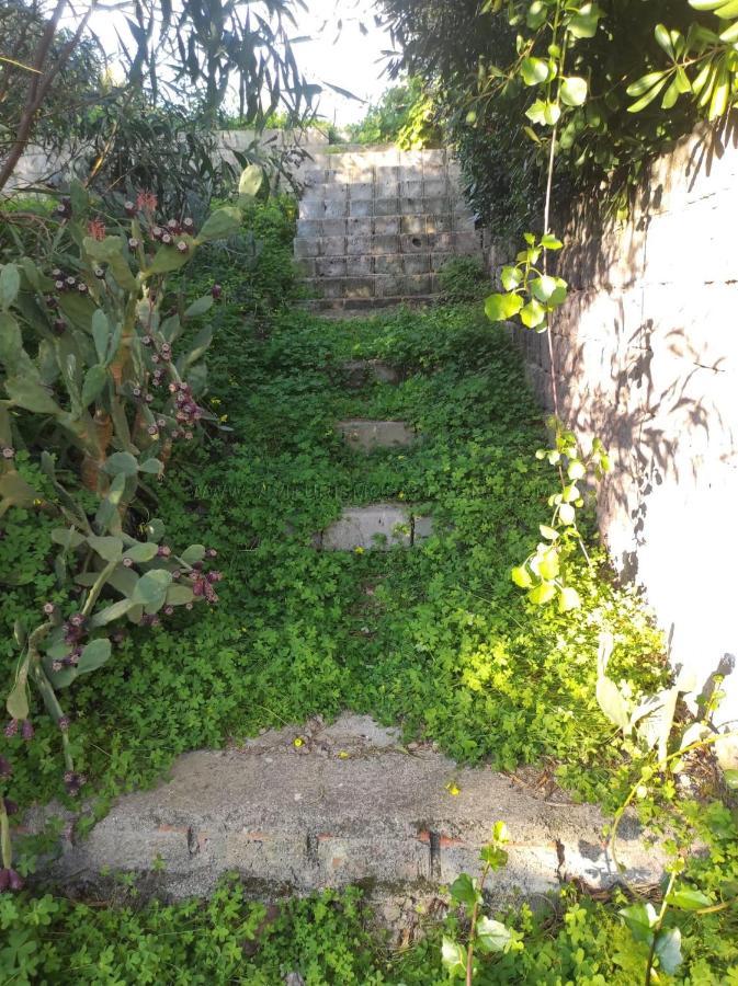 Appartamento Con Giardino Torre Dei Corsari Buitenkant foto